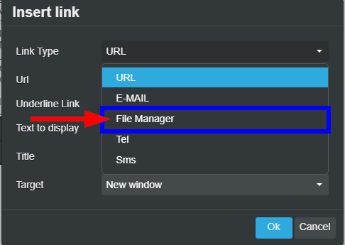 Image showing that we've selected 'File Manager' from the 'Link Type' dropdown menu when inserting a link.