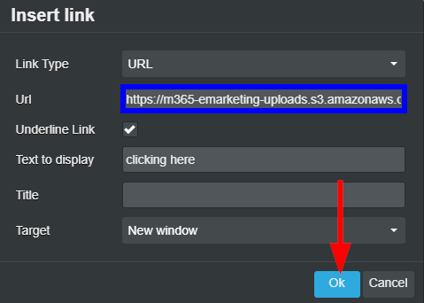 Image showing the Insert Link window, where the URL now points to a file in our File Manager, and indicating the 'OK' button to attach the file to the text.